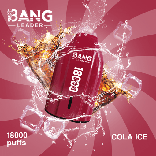 Bang Leader 18K Disposable Vape – 18000 Puffs | Single Flavor | Strong Clouds & Pure Taste - Bild 4