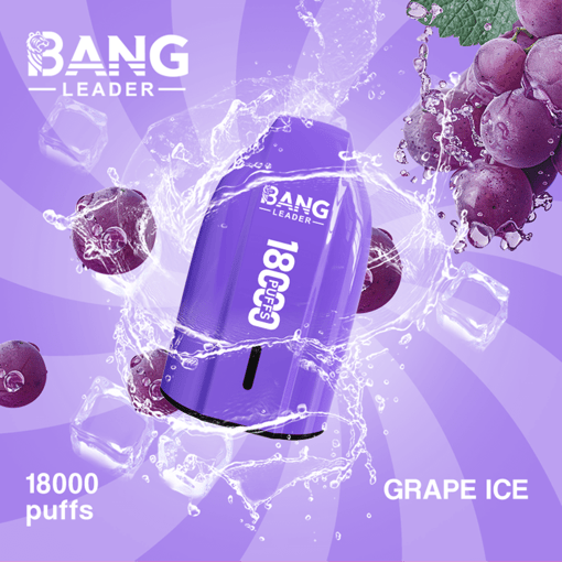 Bang Leader 18K Disposable Vape – 18000 Puffs | Single Flavor | Strong Clouds & Pure Taste - Bild 5