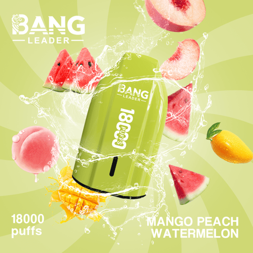 Bang Leader 18K Disposable Vape – 18000 Puffs | Single Flavor | Strong Clouds & Pure Taste - Bild 6