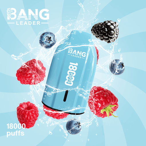 Bang Leader 18K Disposable Vape – 18000 Puffs | Single Flavor | Strong Clouds & Pure Taste - Bild 7