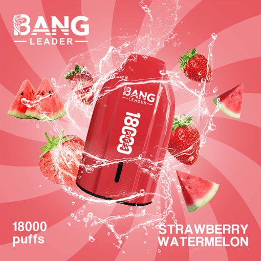 Bang Leader 18K Disposable Vape – 18000 Puffs | Single Flavor | Strong Clouds & Pure Taste - Bild 12