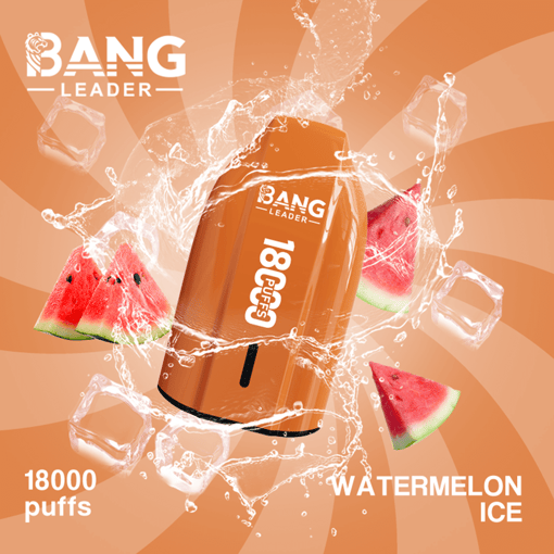 Bang Leader 18K Disposable Vape – 18000 Puffs | Single Flavor | Strong Clouds & Pure Taste - Bild 13