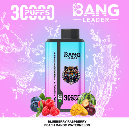 Bang Leader 30K Dual-Flavor Disposable Vape – 30,000 Puffs | Dual Taste System | Rechargeable Mesh Coil - Image 12