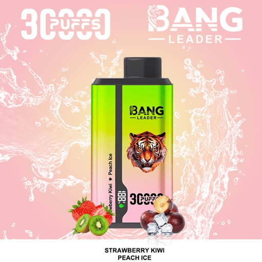 Bang Leader 30K Dual-Flavor Disposable Vape – 30,000 Puffs | Dual Taste System | Rechargeable Mesh Coil - Image 4