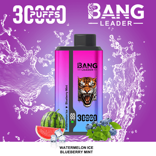Bang Leader 30K Dual-Flavor Disposable Vape – 30,000 Puffs | Dual Taste System | Rechargeable Mesh Coil - Image 13