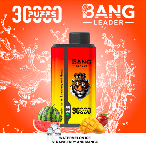 Bang Leader 30K Dual-Flavor Disposable Vape – 30,000 Puffs | Dual Taste System | Rechargeable Mesh Coil - Image 8