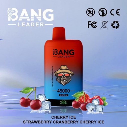 Bang Leader 45K Disposable Vape | EU Warehouse Shipping for Fast | Variety of flavors - Bild 15