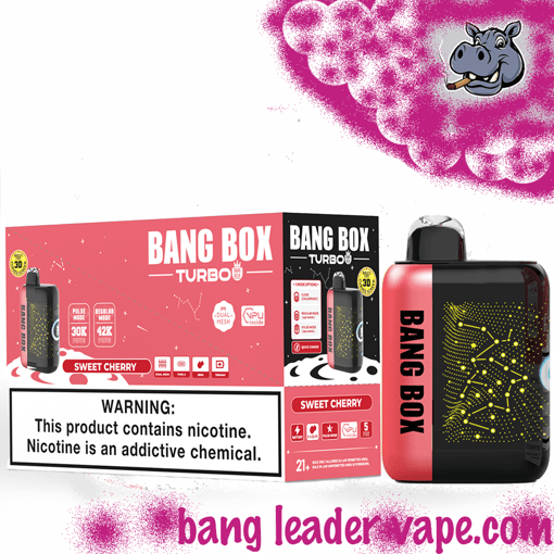 Bang Box 42K Dual Mode Disposable Vape – 42,000 Puffs | Adjustable Power Modes - Imagen 11