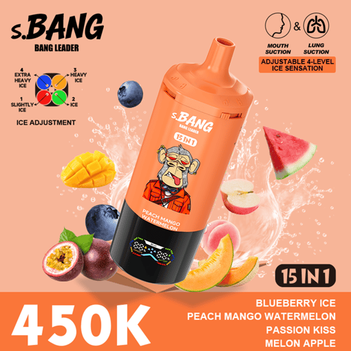 Bang Leader 450K Disposable Vape – 15-in-1 Flavor System | Adjustable Ice Levels | MTL & DTL Dual Mode | 450,000 Puffs - Image 2