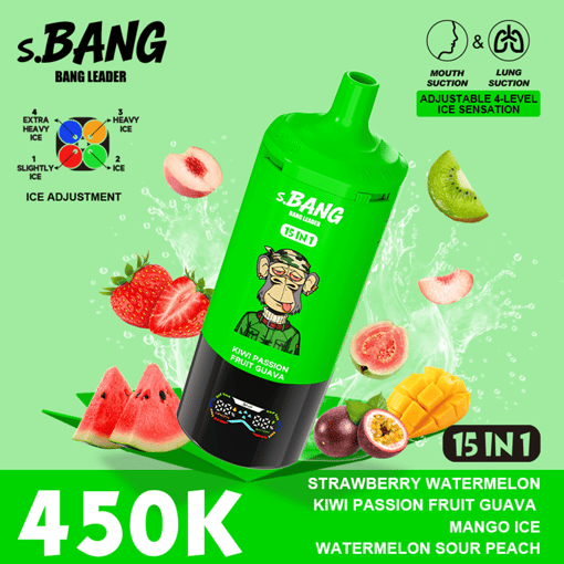 Bang Leader 450K Disposable Vape – 15-in-1 Flavor System | Adjustable Ice Levels | MTL & DTL Dual Mode | 450,000 Puffs - Image 9