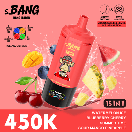 Bang Leader 450K Disposable Vape – 15-in-1 Flavor System | Adjustable Ice Levels | MTL & DTL Dual Mode | 450,000 Puffs - Image 10