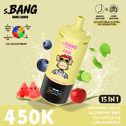Bang Leader 450K Disposable Vape – 15-in-1 Flavor System | Adjustable Ice Levels | MTL & DTL Dual Mode | 450,000 Puffs - Image 11