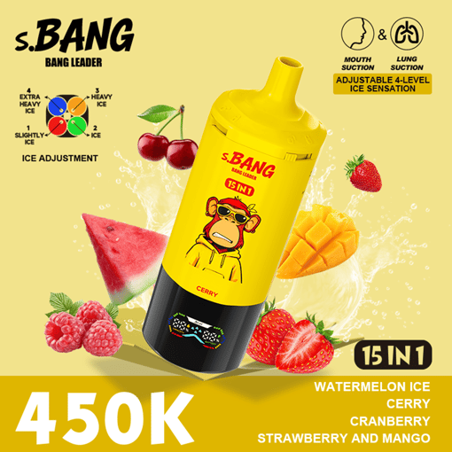 Bang Leader 450K Disposable Vape – 15-in-1 Flavor System | Adjustable Ice Levels | MTL & DTL Dual Mode | 450,000 Puffs - Image 12