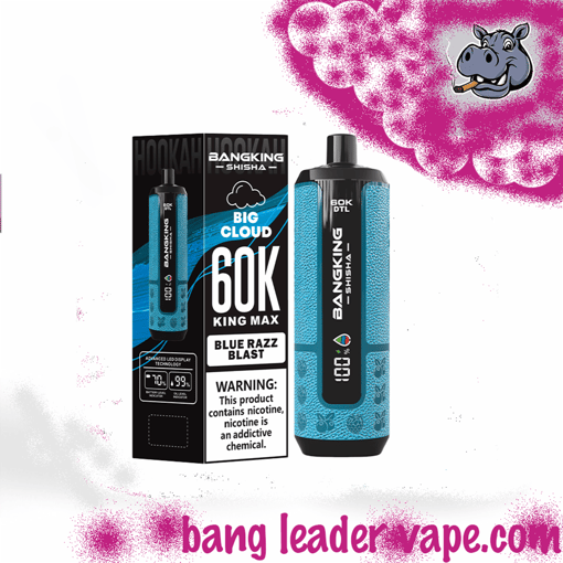 Bang King Shisha 60K Disposable Vape – 60,000 Puffs | Shisha Inspired Design - Image 2