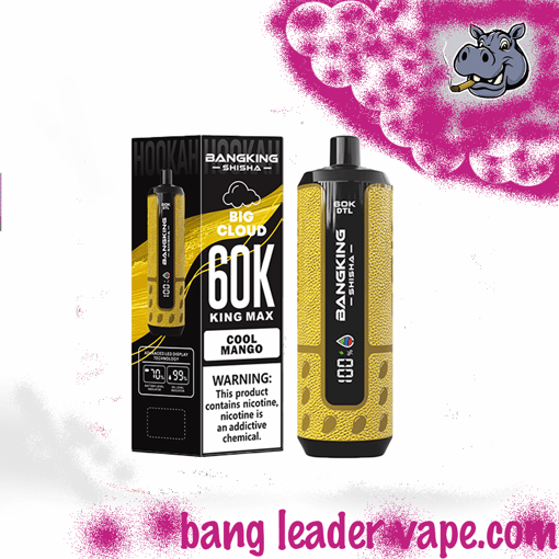 Bang King Shisha 60K Disposable Vape – 60,000 Puffs | Shisha Inspired Design - Image 3