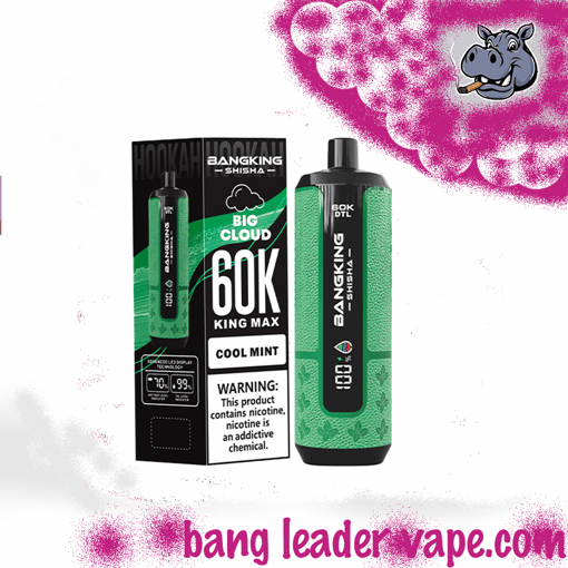Bang King Shisha 60K Disposable Vape – 60,000 Puffs | Shisha Inspired Design - Image 4