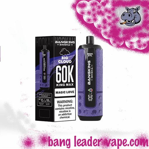 Bang King Shisha 60K Disposable Vape – 60,000 Puffs | Shisha Inspired Design - Image 6