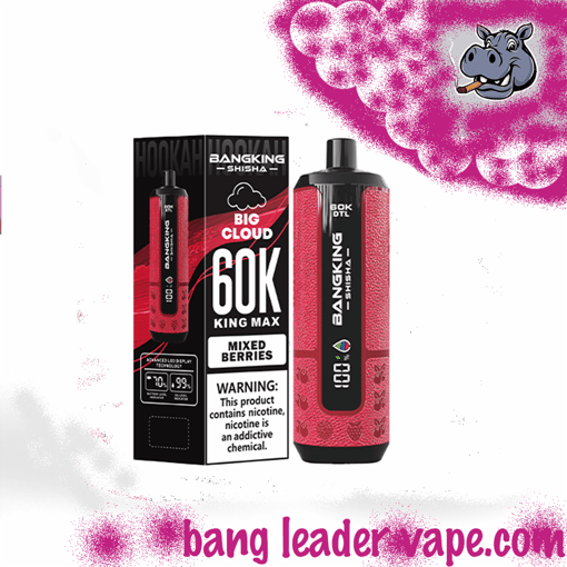 Bang King Shisha 60K Disposable Vape – 60,000 Puffs | Shisha Inspired Design - Image 7