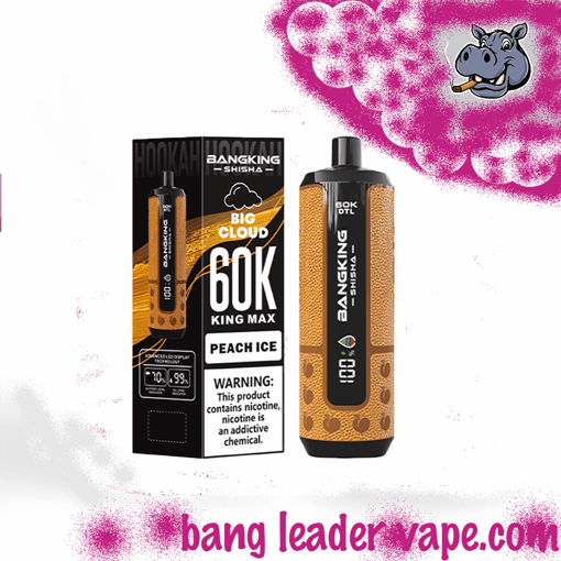 Bang King Shisha 60K Disposable Vape – 60,000 Puffs | Shisha Inspired Design - Image 8