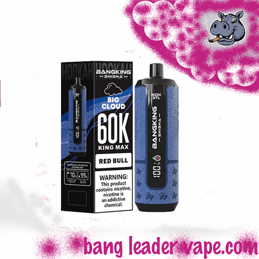 Bang King Shisha 60K Disposable Vape – 60,000 Puffs | Shisha Inspired Design - Image 9