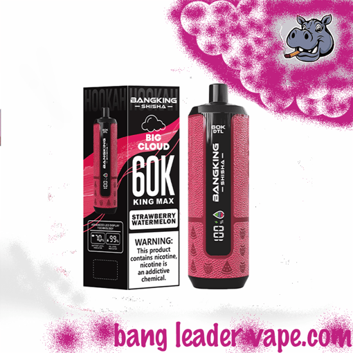 Bang King Shisha 60K Disposable Vape – 60,000 Puffs | Shisha Inspired Design - Image 10