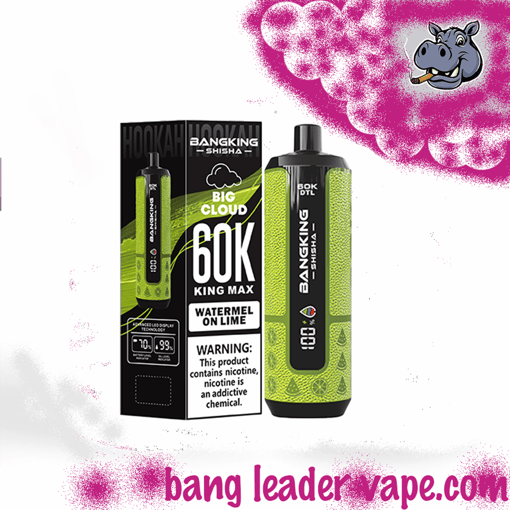 Bang King Shisha 60K Disposable Vape – 60,000 Puffs | Shisha Inspired Design - Image 11