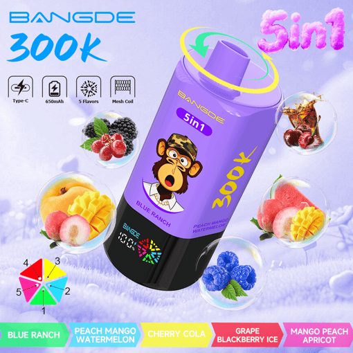 Bang DE 300K 5-in-1 Disposable Vape – 300,000 Puffs | 5 Flavor Switch – Bild 2