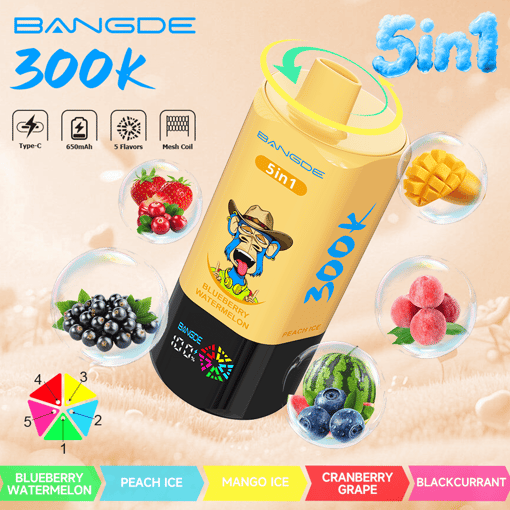 Bang DE 300K 5-in-1 Disposable Vape – 300,000 Puffs | 5 Flavor Switch – Bild 5