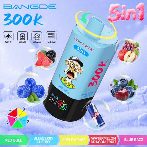 Bang DE 300K 5-in-1 Disposable Vape – 300,000 Puffs | 5 Flavor Switch – Bild 7
