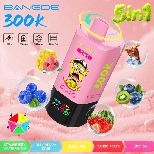 Bang DE 300K 5-in-1 Disposable Vape – 300,000 Puffs | 5 Flavor Switch – Bild 8