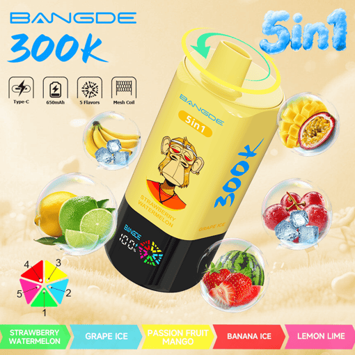Bang DE 300K 5-in-1 Disposable Vape – 300,000 Puffs | 5 Flavor Switch – Bild 9