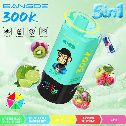Bang DE 300K 5-in-1 Disposable Vape – 300,000 Puffs | 5 Flavor Switch – Bild 10