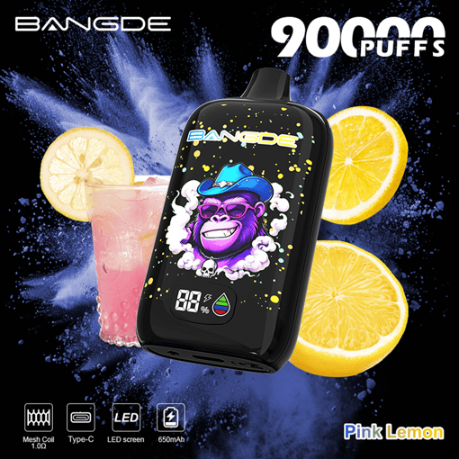 Bang DE 90K Disposable Vape – Up to 90,000 Puffs | Discover Your Next Favorite Flavor with Bang DE 90K - Image 9