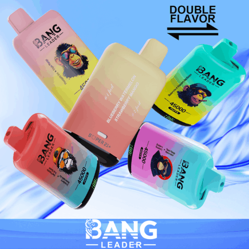 Bang Leader 45K Einweg-Vape – 45.000 Züge | 18+18 ml E-Liquid | Typ-C-Aufladung | Zwei Geschmacksrichtungen