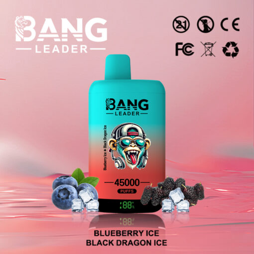 Bang Leader 45K Disposable Vape – 45,000 Puffs |18+18mL E-liquid | Type-C Recharge | Dual Flavors – Bild 2