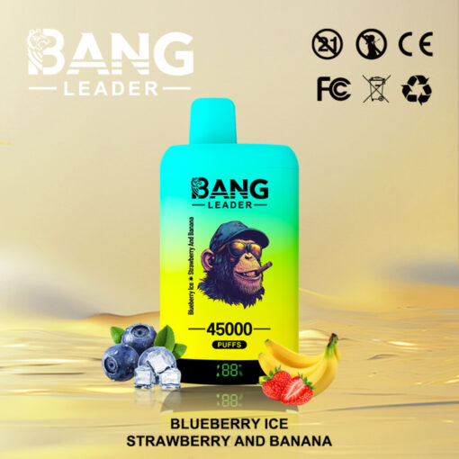 Bang Leader 45K Disposable Vape – 45,000 Puffs |18+18mL E-liquid | Type-C Recharge | Dual Flavors – Bild 3