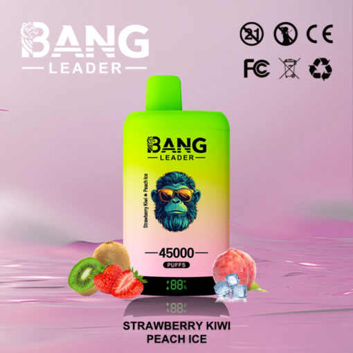 Bang Leader 45K Disposable Vape – 45,000 Puffs |18+18mL E-liquid | Type-C Recharge | Dual Flavors – Bild 10
