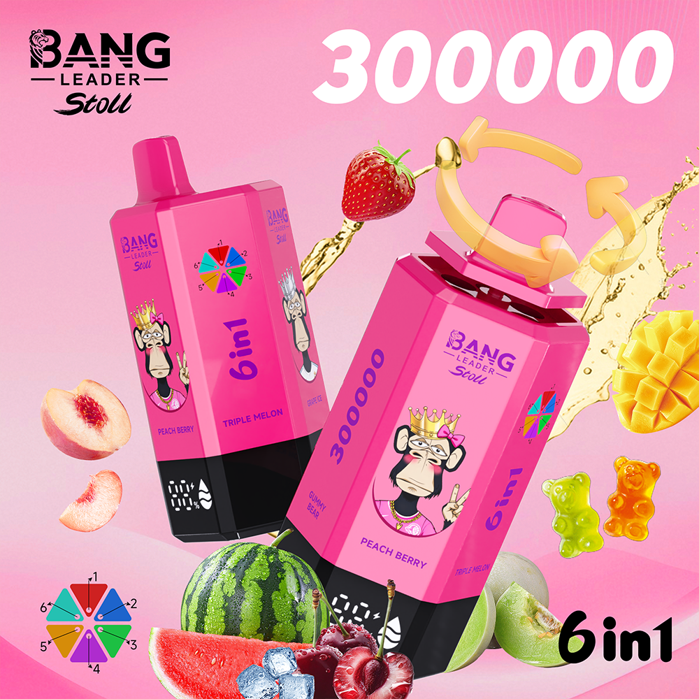 Bang Leader Stoll 300K EU Disposable Vape | 300,000 Puffs 6-in-1 Multi-Flavor | EU Warehouse Shipping - Image 2