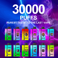 Vape desechable de doble sabor Bang Leader 30K - 30,000 inhalaciones | Sistema de sabor dual | Bobina de malla recargable