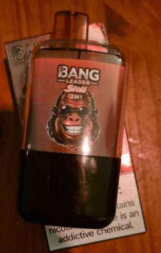 Bang Leader 120K Disposable Vape – 2-in-1 Magnetic Flavor Pods | 120,000 Puffs | Dual-Mesh Coil photo review