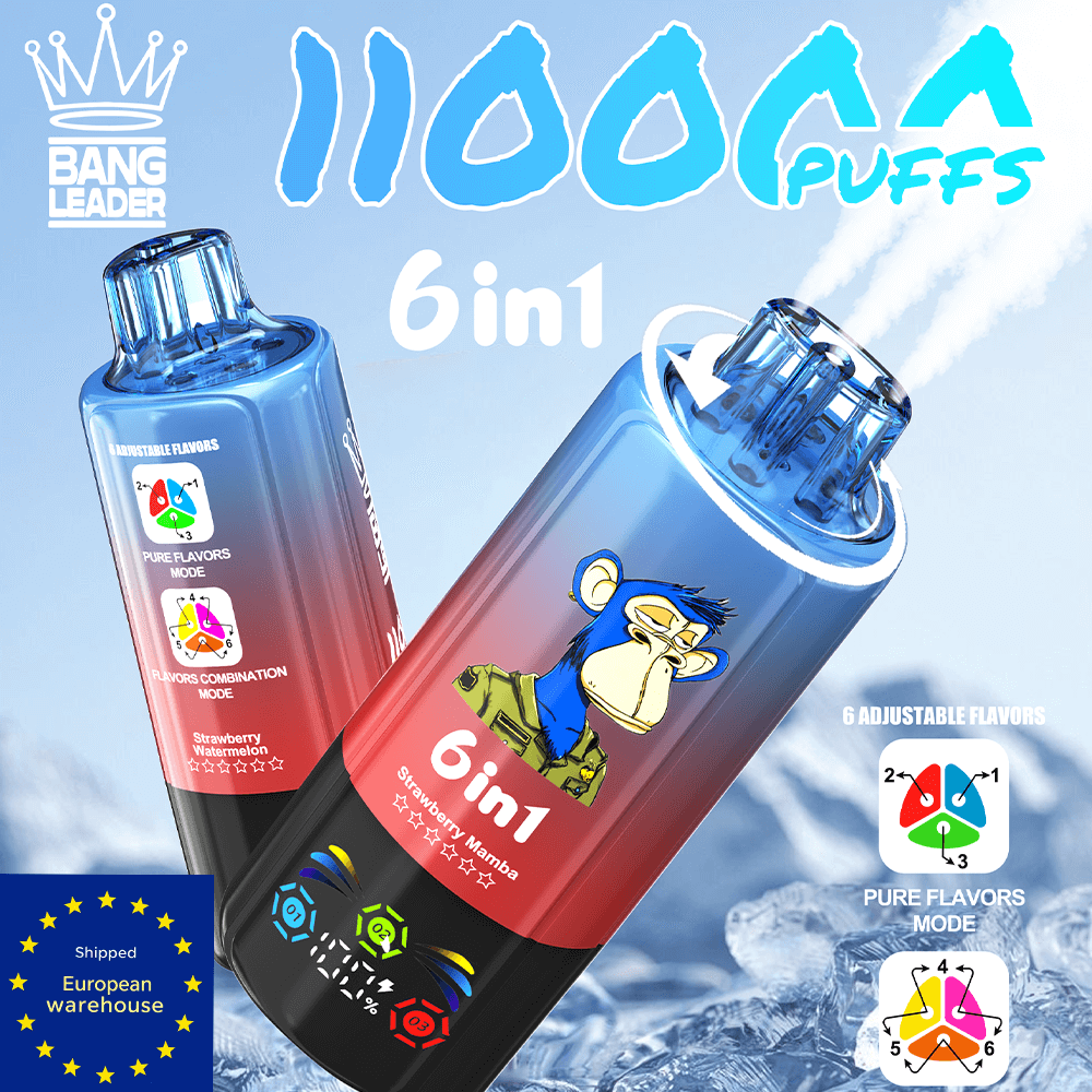Bang Leader 110K Disposable Vape | EU Warehouse Shipping | 6 in 1 Flavors Game