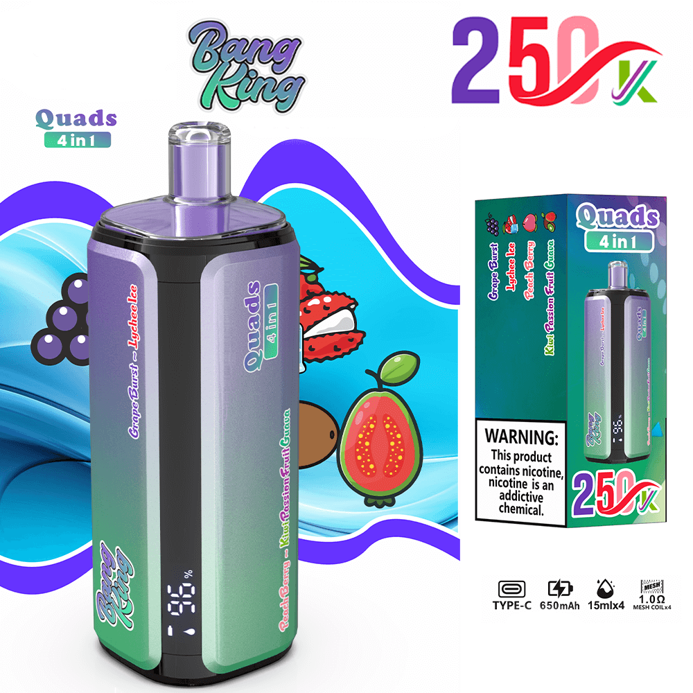 Bang King 250K 4-in-1 Disposable Vape – 250000 Puffs | Switching tastes - Image 2