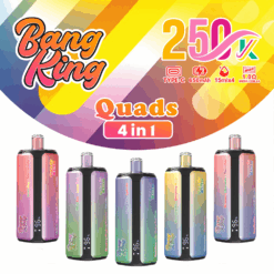 Bang King 250K 4-in-1 Disposable Vape – 250000 Puffs | Switching tastes